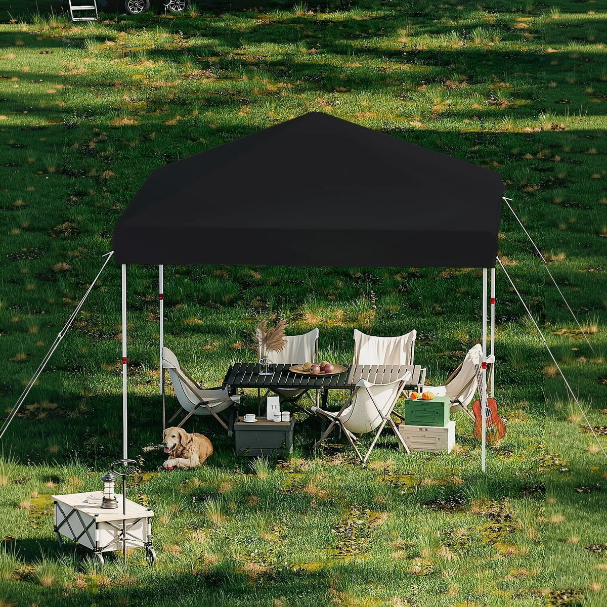 10x10 FT Pop Up Canopy Tent, Black Heavy Duty Waterproof Gazebo Shelter with Wheeled Carry Bag Portable Instant Sun Shade for Outdoor Parties, Events & Camping,Patio, Garden, Beach
